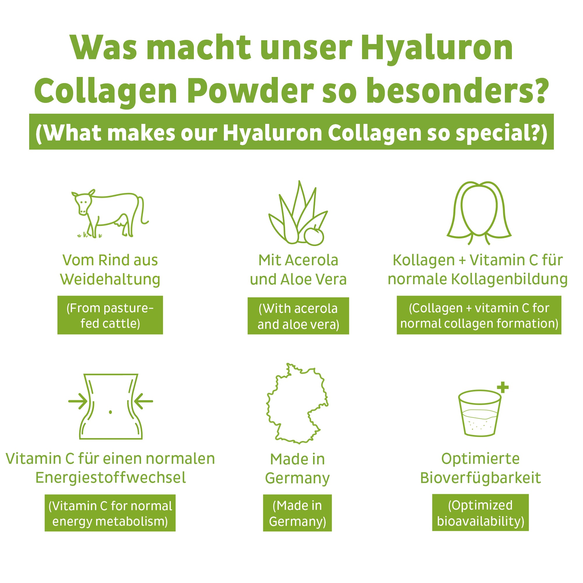 Poudre de collagène hyaluron, paquet de 3 (1350g)