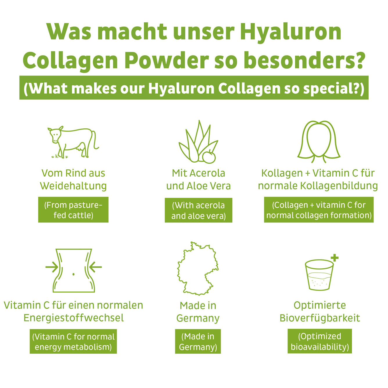 Collagène Hyaluron en poudre