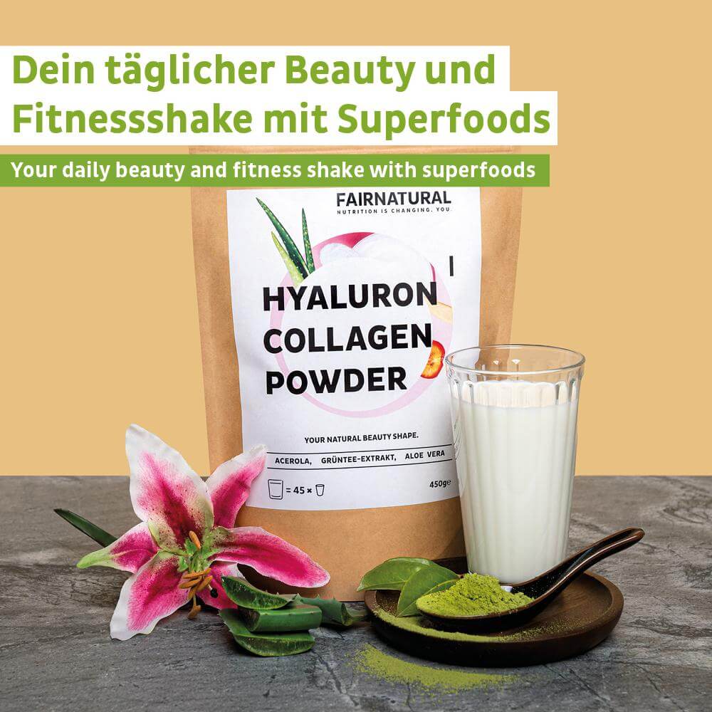 Poudre de collagène hyaluron, paquet de 1 (450g)